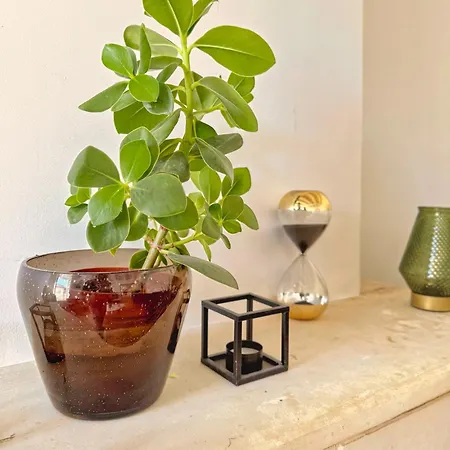 Daire Grand Verdiere